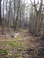chapin canal
