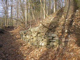chapin canal