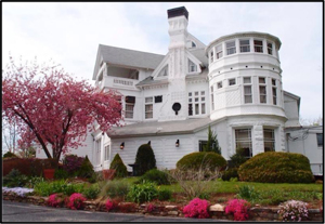 White Cliffs in spring